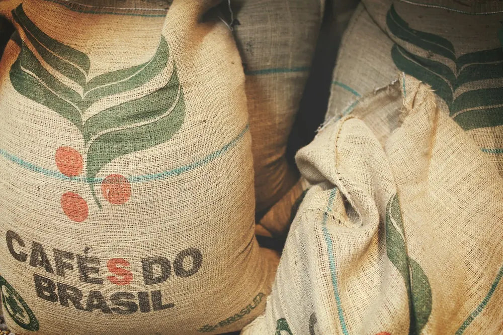 Green coffee in